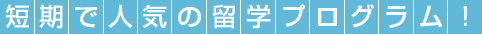 オーストラリアで1週間からの短期留学プログラム一覧 type d2 - オーストラリアで1週間からの短期留学プログラム一覧