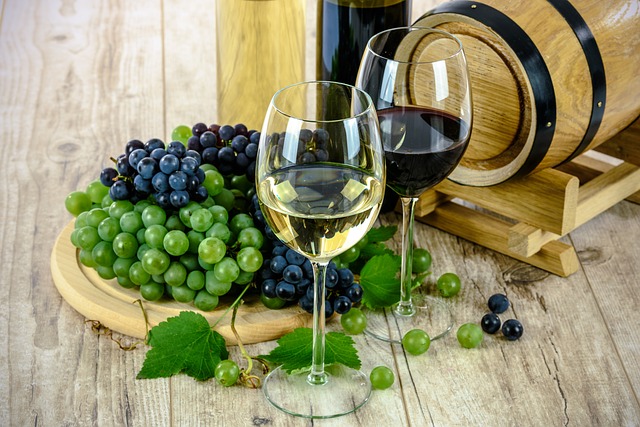 ワイン醸造とブドウ栽培を学べるTAFE/専門カレッジ一覧