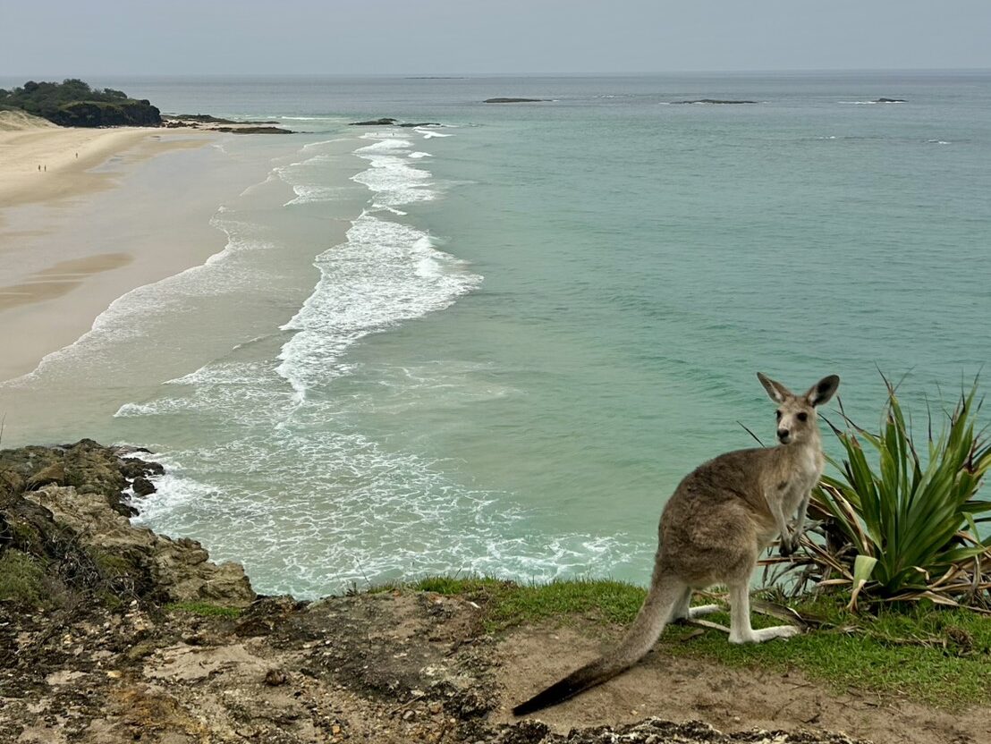 【留学体験談】ハンググライダーへの憧れから始まった、ブリスベン3か月留学体験談